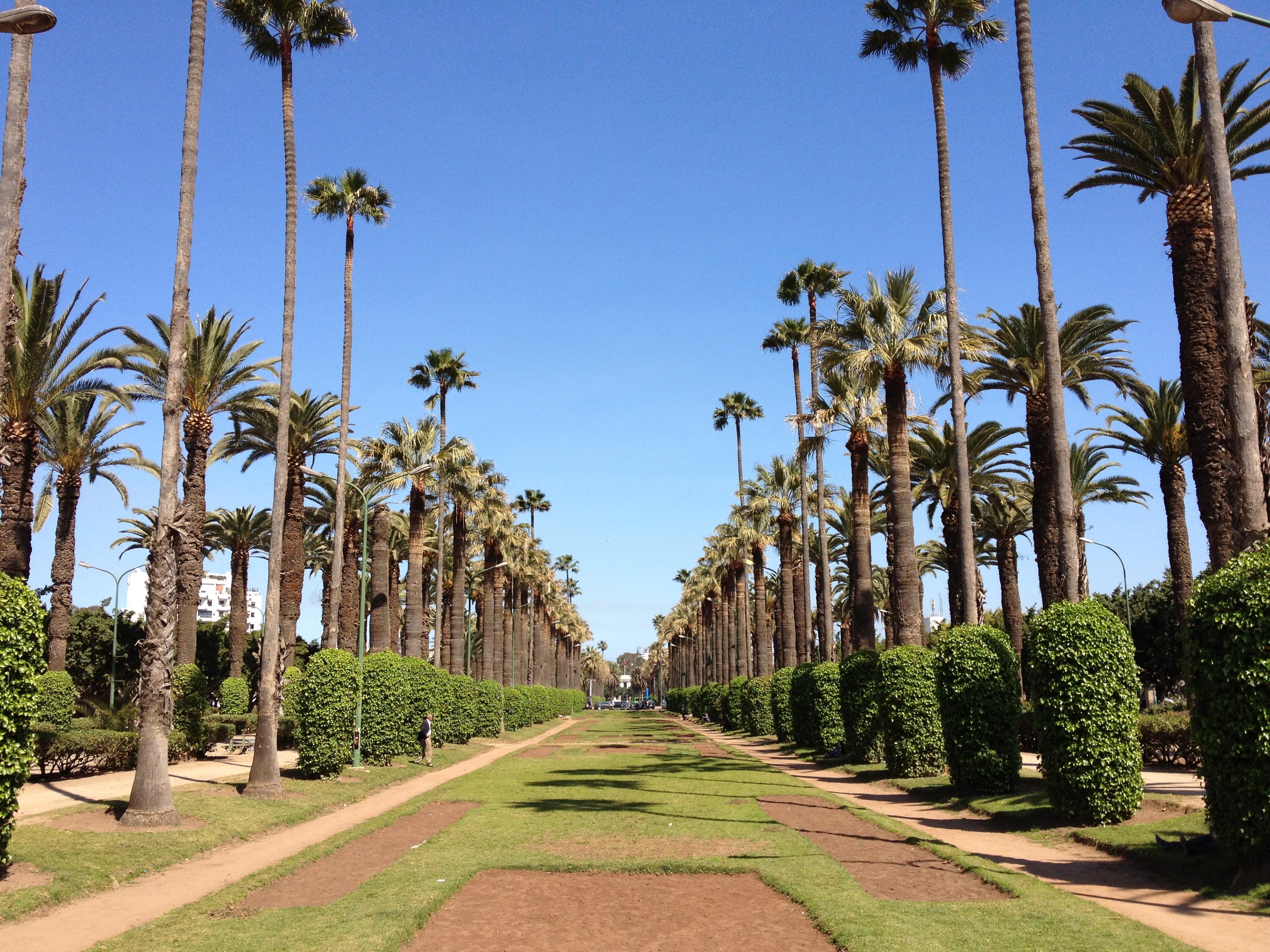 Arab League Park of Casablanca